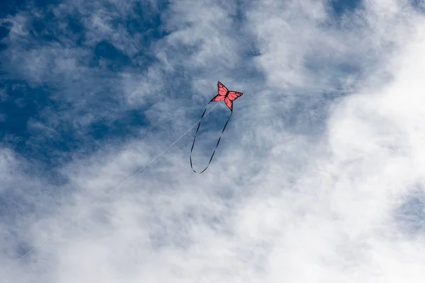 Kleurrijke Vliegers Vliegen Lucht — Stockfoto