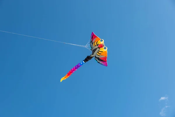 Kites Coloridos Voando Sobre Céu — Fotografia de Stock