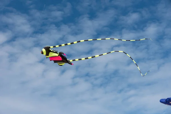 Kites Coloridos Voando Sobre Céu — Fotografia de Stock