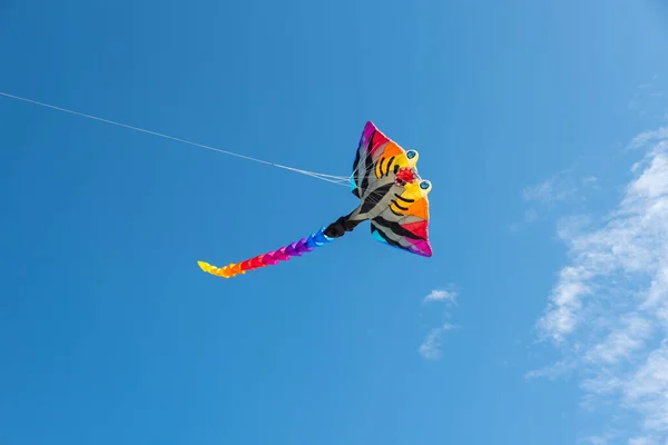 Kites Coloridos Voando Sobre Céu — Fotografia de Stock