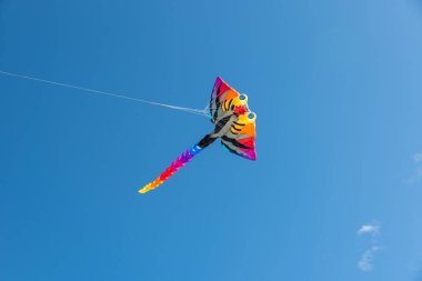 Gökyüzünde uçuşan renkli uçurtmalar