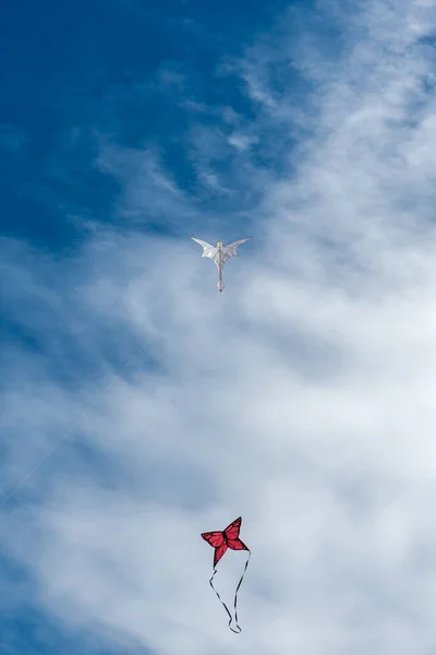 Kites Coloridos Voando Sobre Céu — Fotografia de Stock