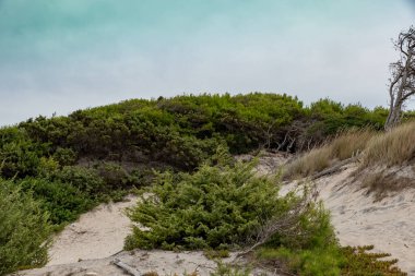 Torre dell 'orso Puglia İki kız kardeş