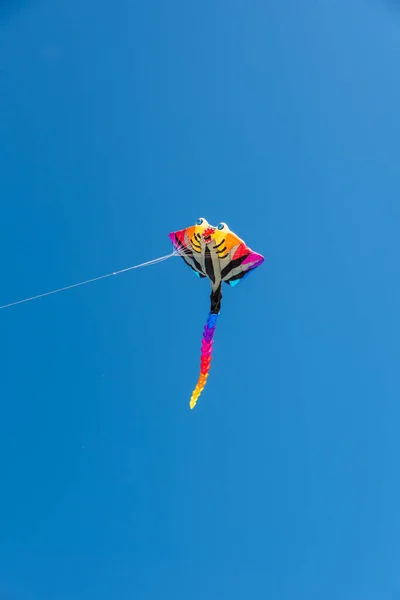 空を飛ぶカラフルな凧 — ストック写真