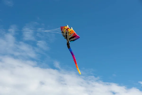 Kites Coloridos Voando Sobre Céu — Fotografia de Stock