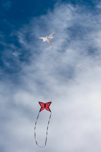 Färgglada Drakar Flyger Över Himlen — Stockfoto