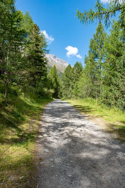 Güney Tyrol İtalya 'daki dağ yolu