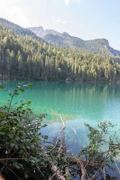 Tovel Gölü Trentino Alto Adige Talya — Stok fotoğraf