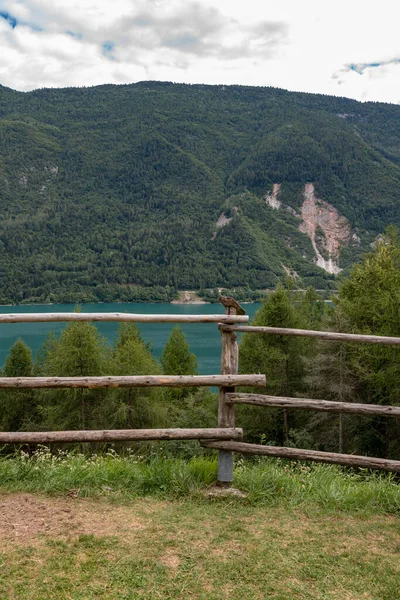 Molveno Gölü Trentino Alto Adige Talya — Stok fotoğraf