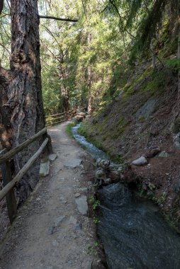 Elma ağacı Val Venosta, Güney Tyrol İtalya