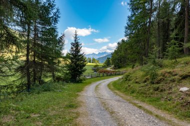 Güney Tyrol İtalya 'daki dağ yolu