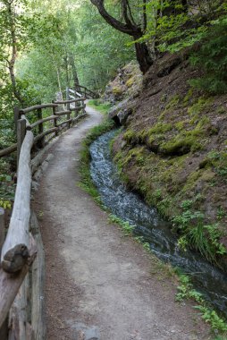 Elma ağacı Val Venosta, Güney Tyrol İtalya