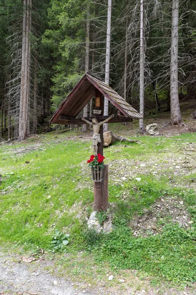 Дерев Яний Розп Яття Val Venosta South Tyrol Italy — стокове фото