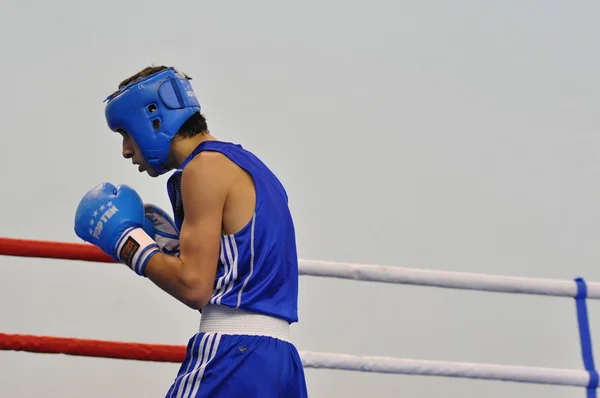 Boxing among Juniors — Stock Photo, Image