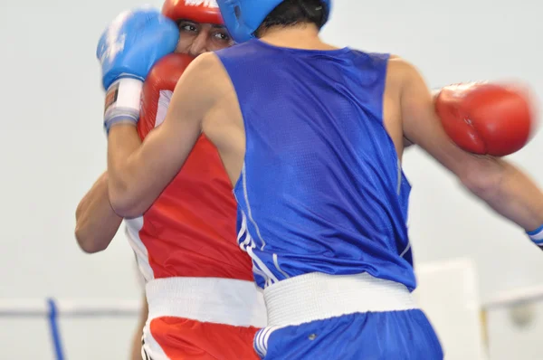 Boxeo entre Juniors —  Fotos de Stock