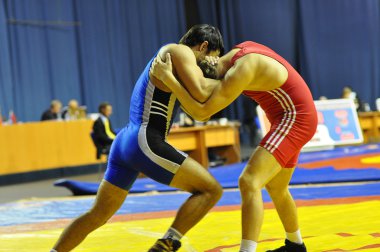 Greko-Romen Güreş yarışmaları