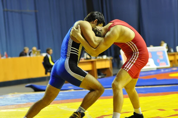 Competitions on Greco-Roman wrestling — Stock Photo, Image