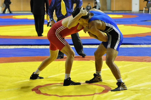 Greko-Romen Güreş yarışmaları — Stok fotoğraf