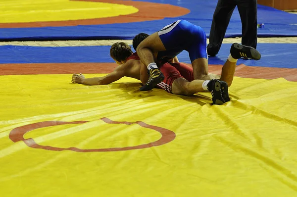 Competitions on Greco-Roman wrestling — Stock Photo, Image