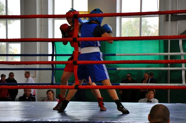 18 de octubre de 2012, Campeonato de Rusia de boxeo entre mujeres, la ciudad de O — Foto de Stock