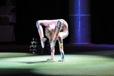 Çin sirke, 29.10.2012, şehir ve orenburg, Güney ural, Rusya Federasyonu