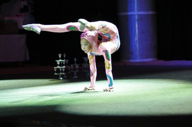 Çin sirke, 29.10.2012, şehir ve orenburg, Güney ural, Rusya Federasyonu