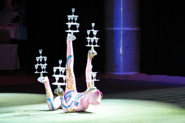 Çin sirke, 29.10.2012, şehir ve orenburg, Güney ural, Rusya Federasyonu