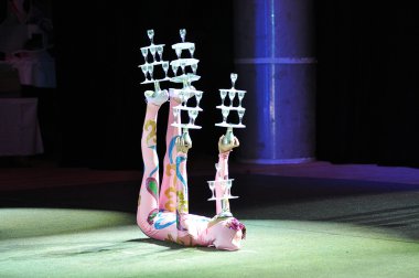 Çin sirke, 29.10.2012, şehir ve orenburg, Güney ural, Rusya Federasyonu