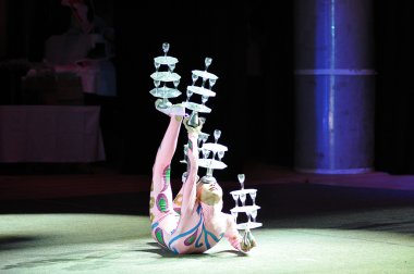 Çin sirke, 29.10.2012, şehir ve orenburg, Güney ural, Rusya Federasyonu