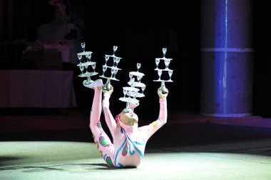 Çin sirke, 29.10.2012, şehir ve orenburg, Güney ural, Rusya Federasyonu