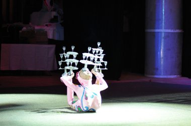 Çin sirke, 29.10.2012, şehir ve orenburg, Güney ural, Rusya Federasyonu