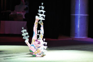 Çin sirke, 29.10.2012, şehir ve orenburg, Güney ural, Rusya Federasyonu