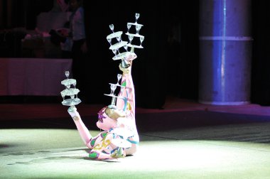 Çin sirke, 29.10.2012, şehir ve orenburg, Güney ural, Rusya Federasyonu