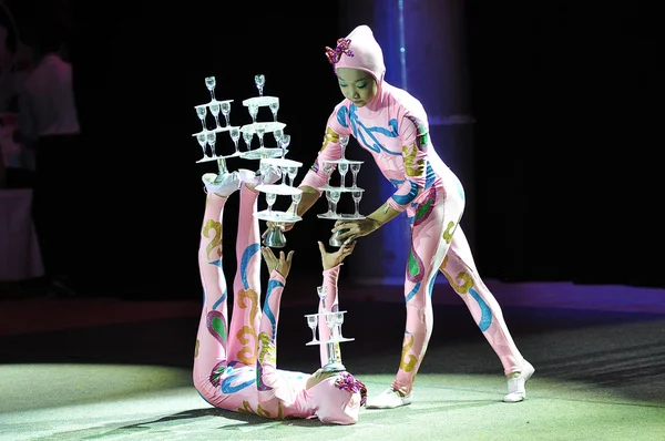 Çin sirke, 29.10.2012, şehir ve orenburg, Güney ural, Rusya Federasyonu