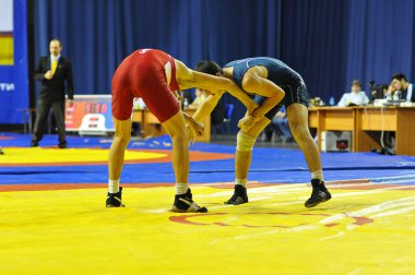 Greko-Romen Güreş yarışmaları