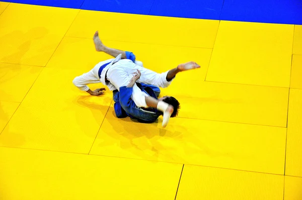 Judo competities — Stockfoto