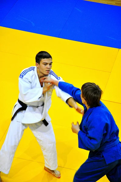 Judo competitions — Stock Photo, Image