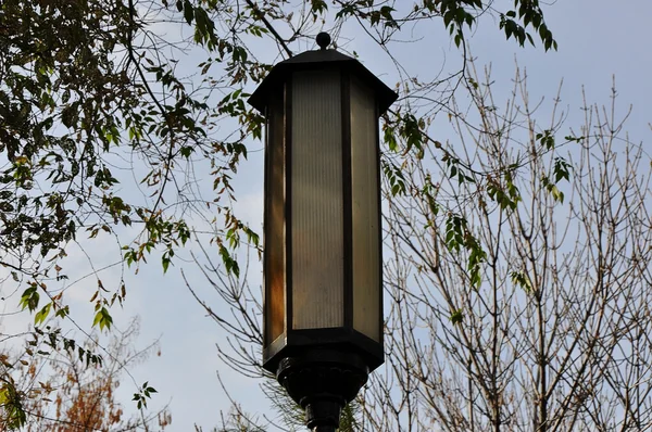 Luz de rua — Fotografia de Stock