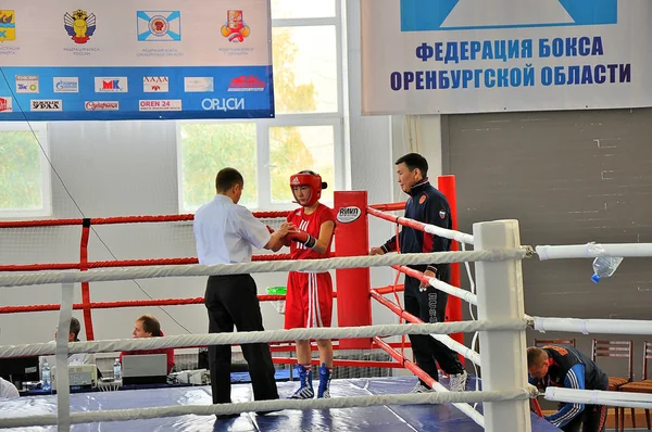 Boxe femminile — Foto Stock