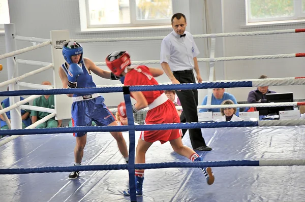 Жіночий бокс — стокове фото