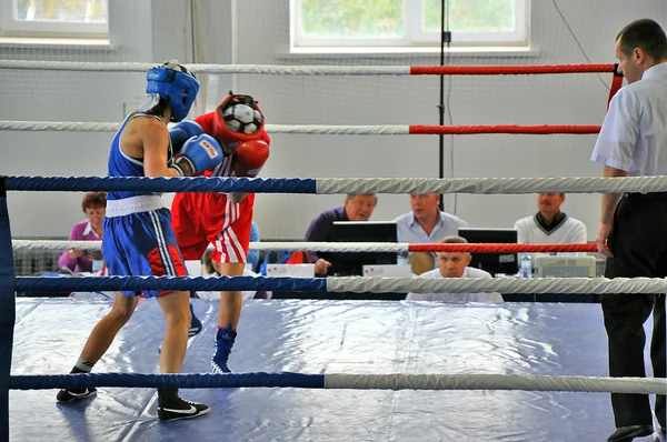 Жіночий бокс — стокове фото