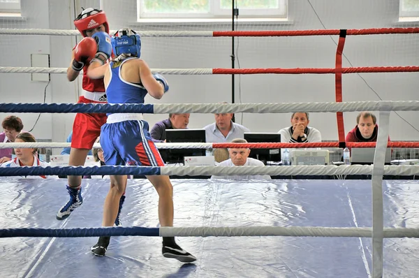 Women's boxing — Stock Photo, Image