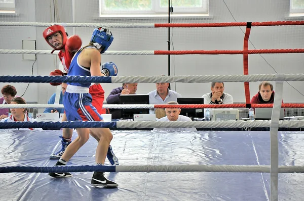 Boxeo femenino —  Fotos de Stock