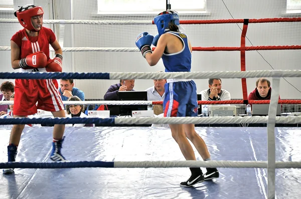 Women's boxing — Stock Photo, Image