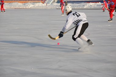 top hokeyi