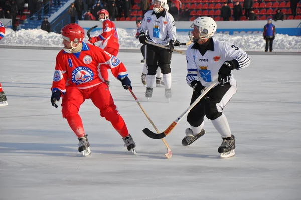 Bola de hockey — Foto de Stock