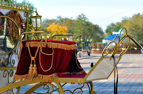 Wedding carriage — Stock Photo, Image