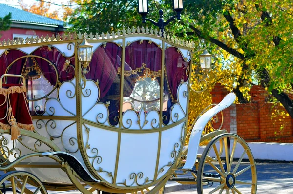 Wedding carriage Stock Picture