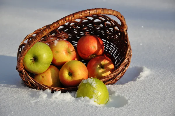 Pro píseň jablka na sníh zpěvák michael muromova — Stock fotografie