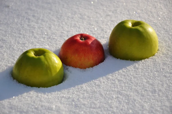 For the song Apples on the snow singer Michael Muromova — Stock Photo, Image